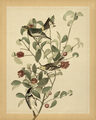 Image Not Available